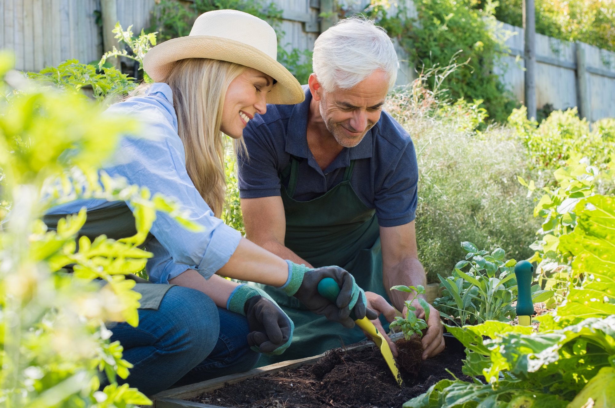 AdobeStock_117148577