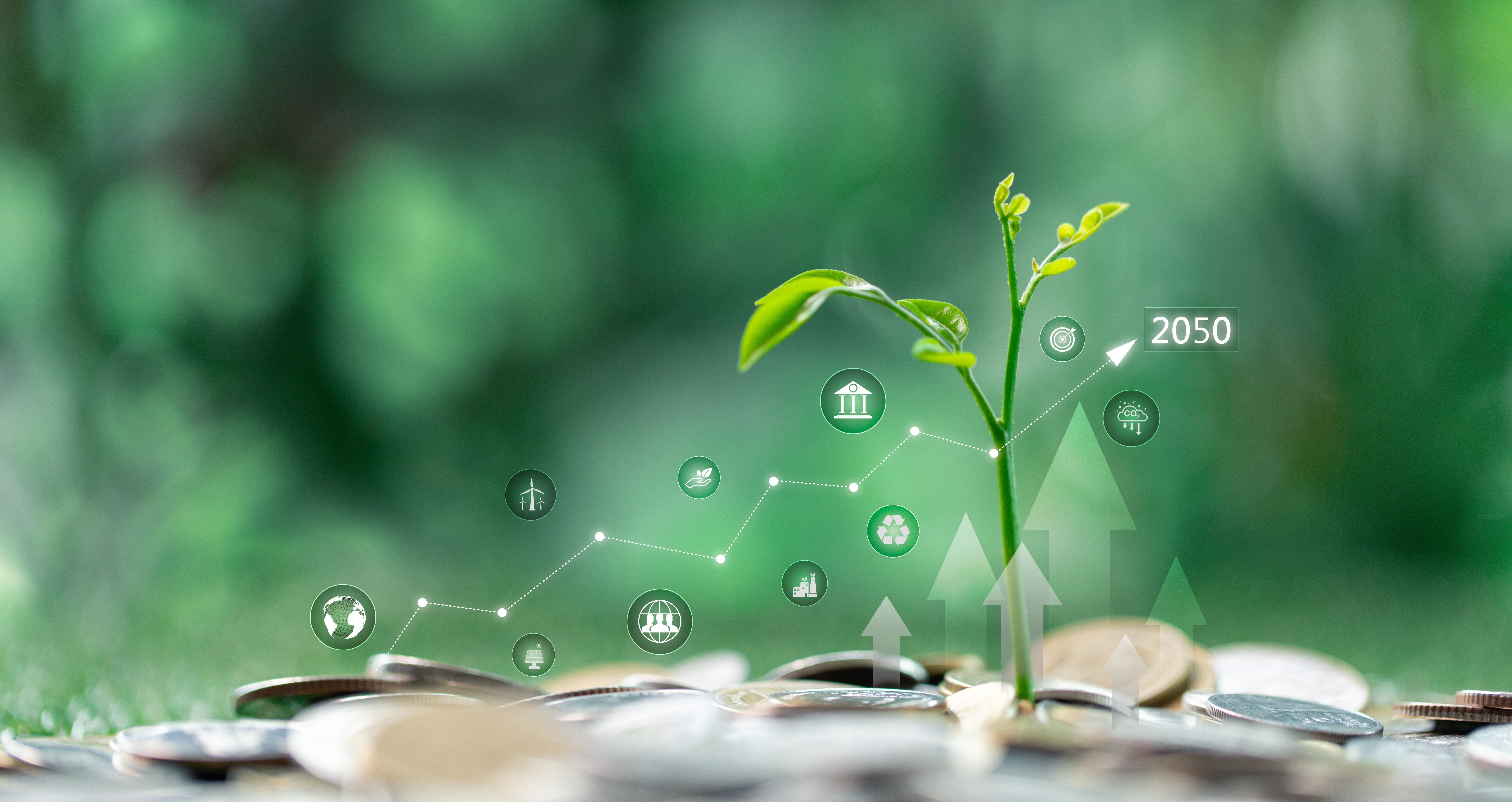 Aligning Wealth Management with ESG Values